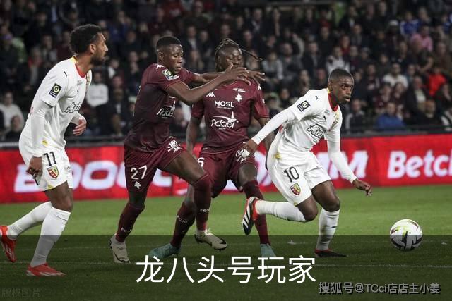 龙八头号玩家公司简介图片